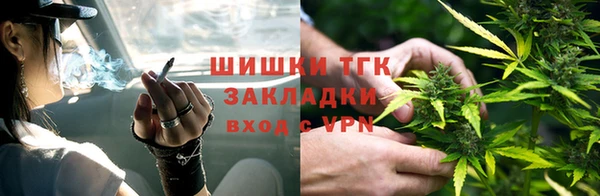 стафф Михайловск