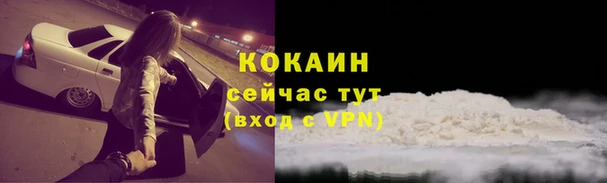 ПСИЛОЦИБИНОВЫЕ ГРИБЫ Навашино