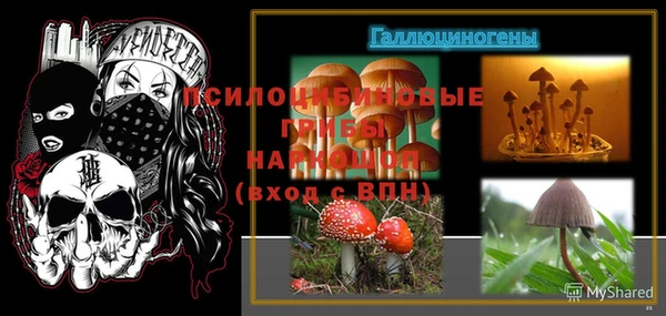 стафф Михайловск
