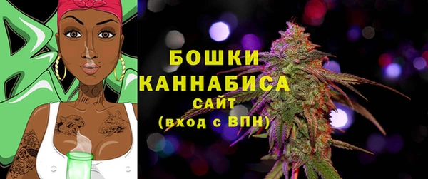 ПСИЛОЦИБИНОВЫЕ ГРИБЫ Навашино