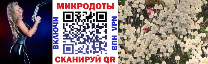 Псилоцибиновые грибы Psilocybe  Андреаполь 