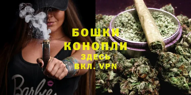 Бошки марихуана THC 21%  Андреаполь 