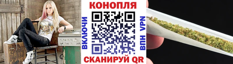 Марихуана план Андреаполь